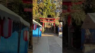 初詣は「烏子稲荷神社」 #shorts