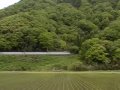 特急「はまかぜ」 山陰本線　久谷～浜坂