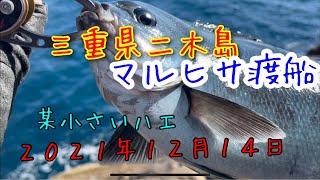 【某小さいハエ磯釣り】三重県二木島コバエのグレ釣り