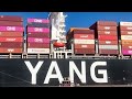 giant yang ming coming into savannah port