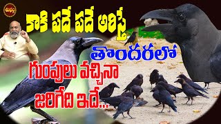 మీ ఇంటికి దగ్గరలో కాకి పదే పదే అరిస్తే | KAKI PADE PADE ARISTE | KAKI ARISTE EMAVUTUMDI | SHUBHAM TV