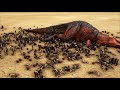 1000 humans vs dinosaurs ark survival evolved cantex