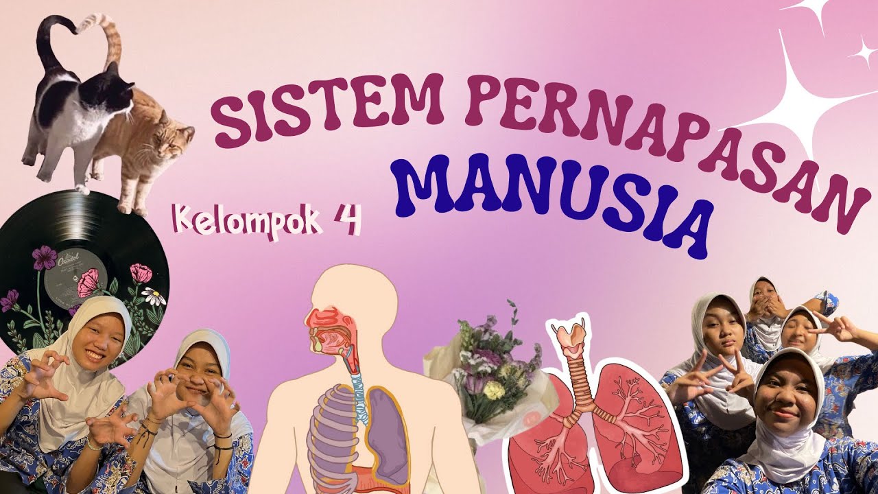 Tugas IPA | Sistem Pernapasan Pada Manusia | Kelompok 4 Kelas 8D | SMPN ...