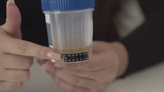 How To Use SpecCheck Multi-Panel Drug Test Cup