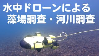 水中ドローンによる藻場調査・河川調査のご案内です