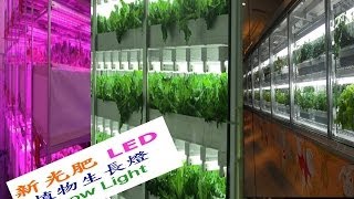 LED植物生長燈應用 Grow Light Applications ; 植物工廠植物燈系列