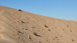 Desierto de Altar Sonora, faldeando una duna en mi can am.