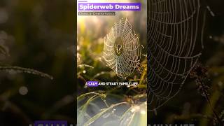 The Secrets Revealed By Spiderweb Dreams