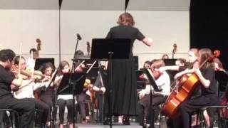 CCMS - honors orchestra - Declarations