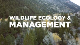 Wildlife Ecology & Management students get a hands-on education