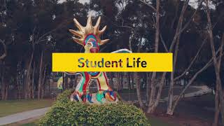 Return to Learn: What to Expect from Fall Quarter