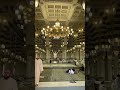 madina ja k hum samjhe naat youtubeshorts masjidannabawi shortvideo shorts