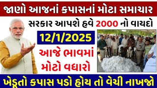 કપસ ના ભવ. 12/1/2025. કાપસના ભાવ : કપાસના પાકના ભાવ વિશેની માહિતી : આજના કાપસના ભાવ