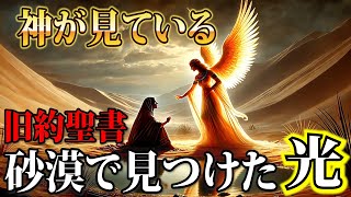 [Must See] Miracles of the Old Testament! Words of Hope Spoken by an Angel [Genesis Chapter 16]