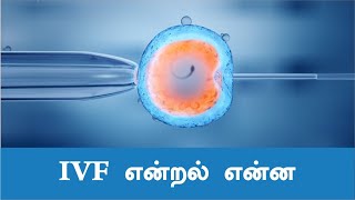 IVF என்றல் என்ன ஒரு முழுமையான விளக்கம் (What is IVF in Tamil) | Patient Education | MIC