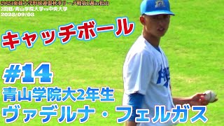 【≪大型2年生左腕/キャッチボール≫身長188センチ期待の左腕/2023東都大学野球連盟秋季リーグ戦第1週】青山学院大2年生 ヴァデルナ・フェルガス(飯の峯中※大阪泉南ボーイズ→日本航空高)