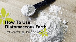 How To Use Diatomaceous Earth | Home \u0026 Garden Pest Control