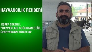 Hayvancılık Rehberi - Eşref Şekerli: \