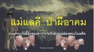 ๔.แม่แลคี..ป่าผีอาคม ! การผจญภัยลี้ลับกองคาราวานวัวต่างแม่ฮ่องสอนในอดีต