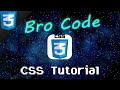 CSS tutorial for beginners 🎨