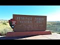 Top 15 Things to See in Petrified Forest National Park