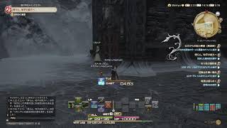 FF14女性ソロ実況？動画】とある光の戦士のﾄﾞﾀﾊﾞﾀわちゃわちゃ冒険記録#144【Shinryu】