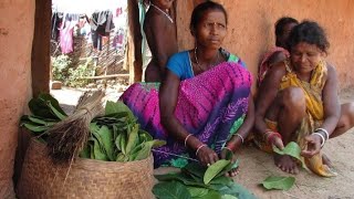 आदिवासी दोना पत्तल | Tribal bastar | |Donapattal Kaise bnaye | Bastarwithmanojsharma |