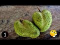 பழங்களின் பெயர்களைக் கண்டுபிடி |What fruit is this? |Fruit names | பழங்கள்| தமிழ் விளையாட்டு|