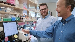 UF Biomedical Sciences Concentration: Biochemistry and Molecular Biology
