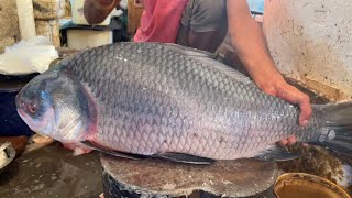 25 Kg Giant Catla Carp Fish Cutting By Knife; Amazing Fish Cutting Video Bangladesh