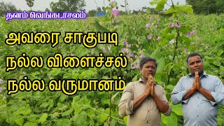 அவரை சாகுபடி - விளைச்சலும் அதிகம் வருமானமும் அதிகம் #agriculture  @ThanamVengadasalam-fc1je