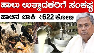 ಹಾಲು ಉತ್ಪಾದಕರಿಗೆ ಸಂಕಷ್ಟ | ಹಾಲಿನ ಬಾಕಿ ₹622 ಕೋಟಿ  | Siddaramaiah | Karnataka TV