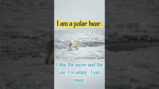 I AM A POLAR BEAR. || Learn About Polar Bear. || Animals.