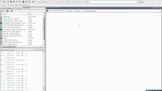 CODEBOOK OPTIMIZATION IN VECTOR QUANTIZATION USING GENETIC ALGORITHM