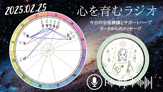 宇宙の時刻合わせ🚀未来や理想・夢に関するメッセージが届くかも【2025年2月25日】星読み\u002612星座別メッセージ