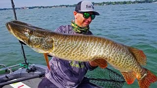 CRAZY New MUSKY LURE!! - BITE BACK TRILOGY