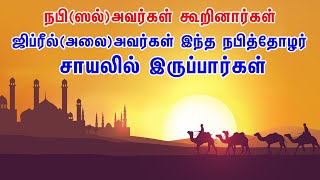 ஜிப்ரீல்(அலை)அவர்கள் இந்த நபித்தோழர் சாயலில் இருப்பார்கள் Tamil Muslim Tv | Tamil Bayan