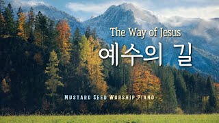 [🎹1시간] 예수의 길 / The Way of Jesus / CCM Piano  / 가사,Lyrics