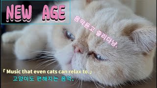 New age Music, Calming and soothing. Music that even cats can relax to.