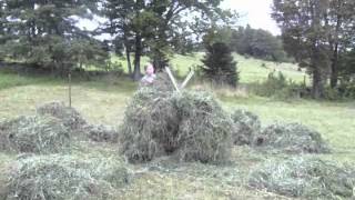 Hay in a Day - Part 2