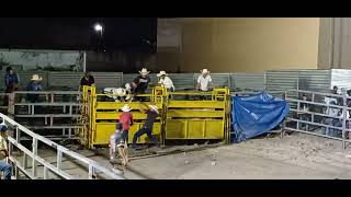 Feria Patronal Caballo Blanco 2025