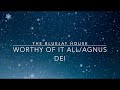 Worthy Of It All/Agnus Dei | The Bluejay House | Lyric Video