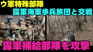 【ウクライナ情勢】露：特殊部隊は卑怯だ！【軍事系ゆっくり解説】