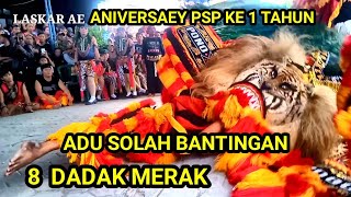 atraksi 8 dadak merak adu solah sabetan aniversary PSP KE 1 TAHUN