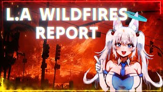 Kirsche's LA Wildfires Report