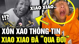 Xôn xao thông tin cô cái 'CẬN HUYẾT XIAO XIAO' qua đời và sự thật 'Ở PHÍA SAU' | Tin Nhanh 3 Phút