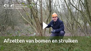 Afzetten van struiken en bomen