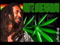 Rootz Underground - Herb Fields