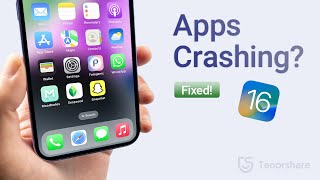 iPhone Apps Crashing on iOS 16/iOS 17? 5 Ways to Fix It!
