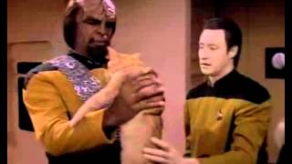 Data asks Worf to take care of Spot